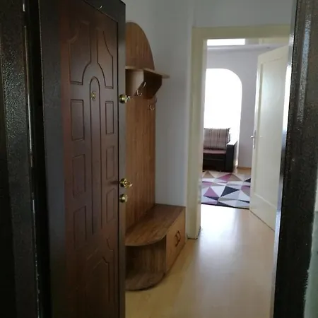 Apartment Maniu View